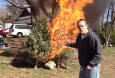 christmas-tree-safety